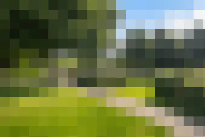 Kruizemunt 98 Dronten thumbnail 30