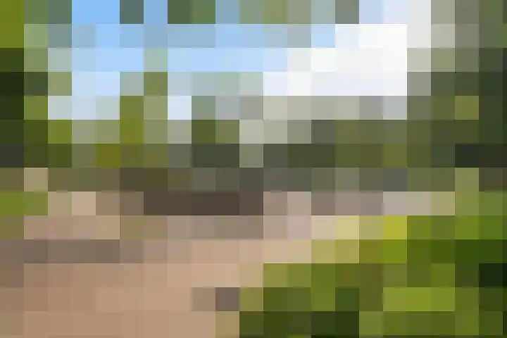 Kruizemunt 98 Dronten thumbnail 31