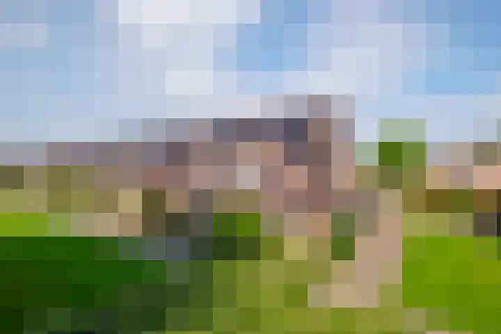 Kruizemunt 98 Dronten thumbnail 38