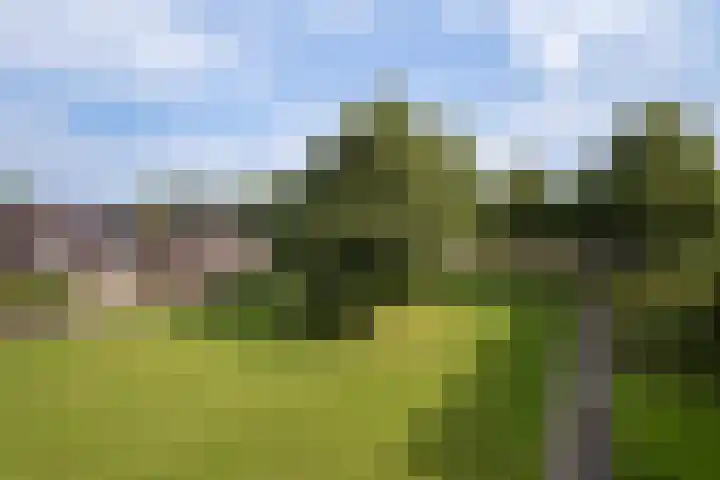 Kruizemunt 98 Dronten thumbnail 5