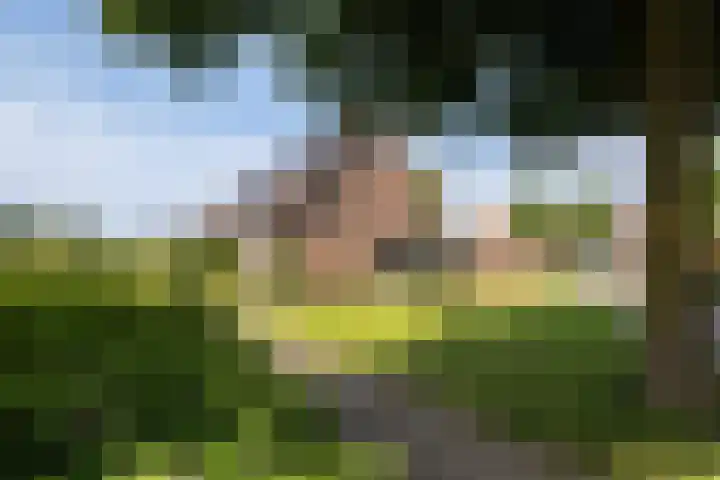 Kruizemunt 98 Dronten thumbnail 6