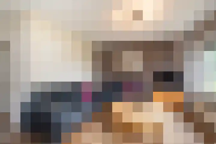 Kruizemunt 98 Dronten thumbnail 8