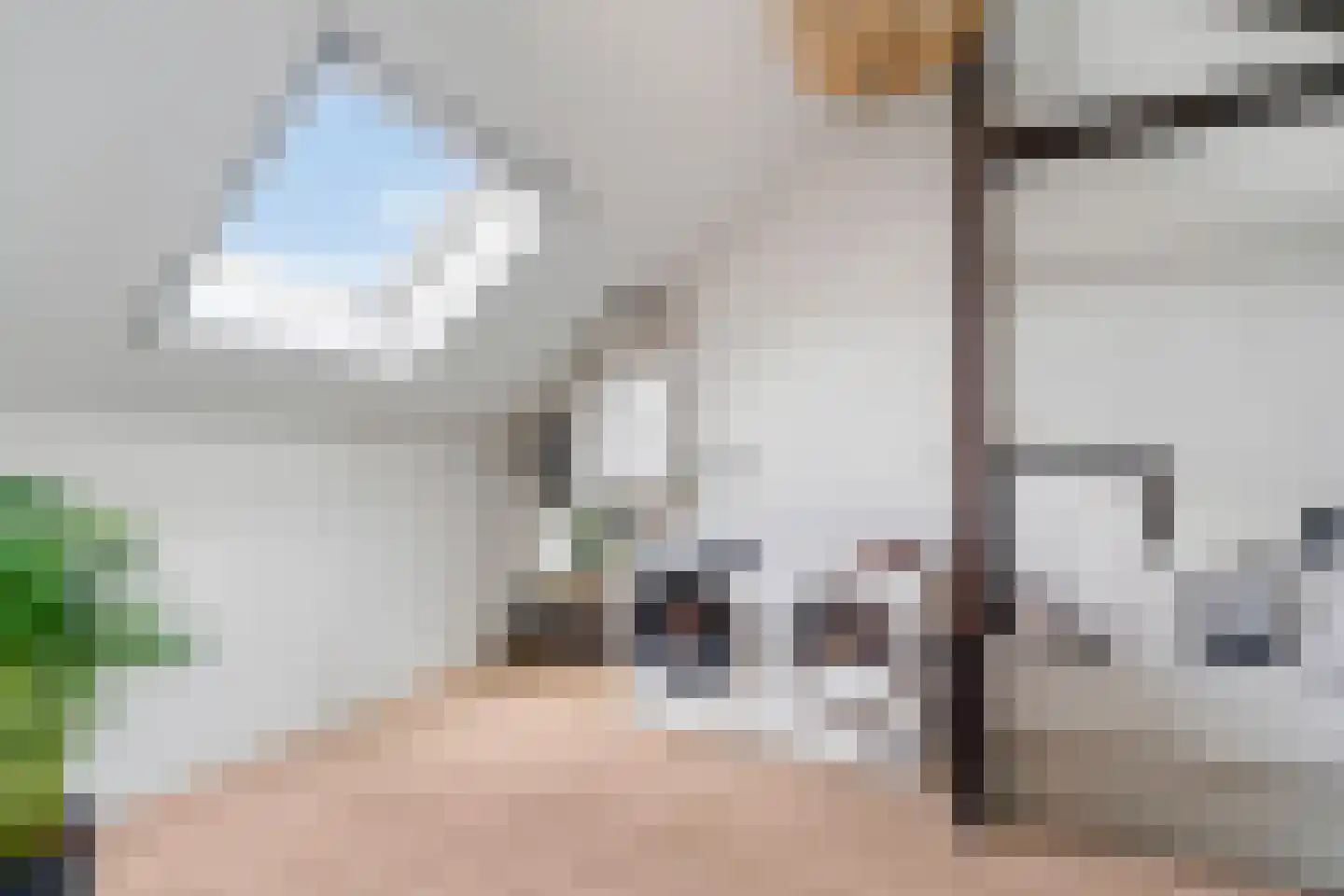 Kruizemunthof 65 Wierden thumbnail 27