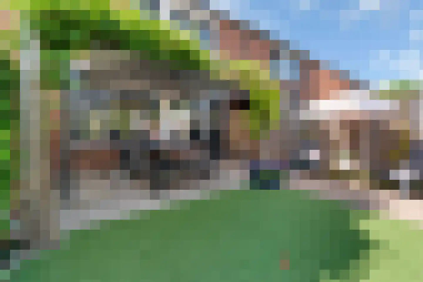 Kruizemunthof 65 Wierden thumbnail 31