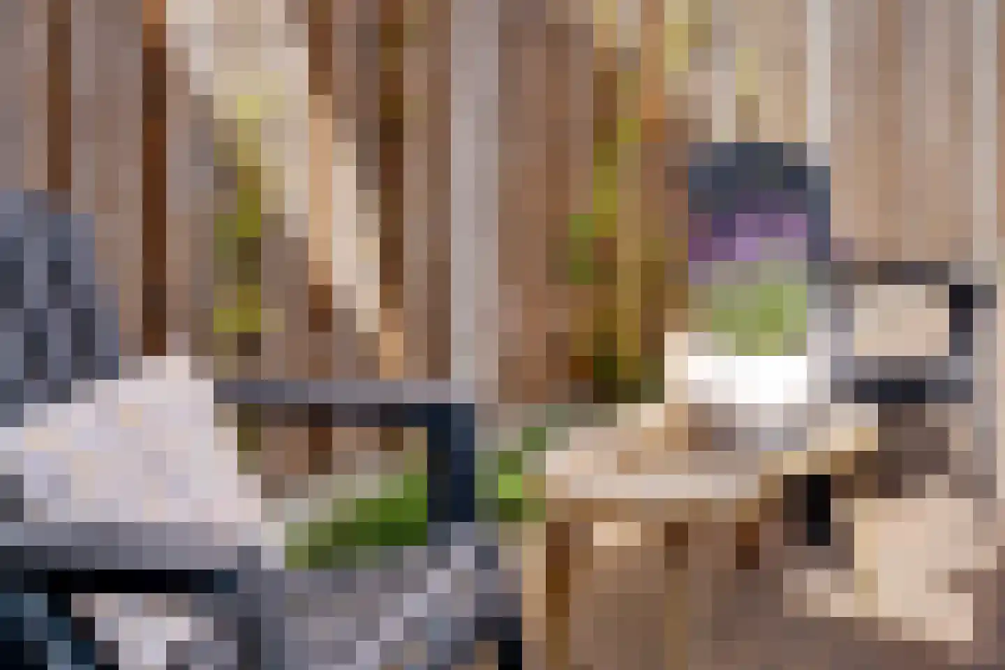 Kruizemunthof 65 Wierden thumbnail 32