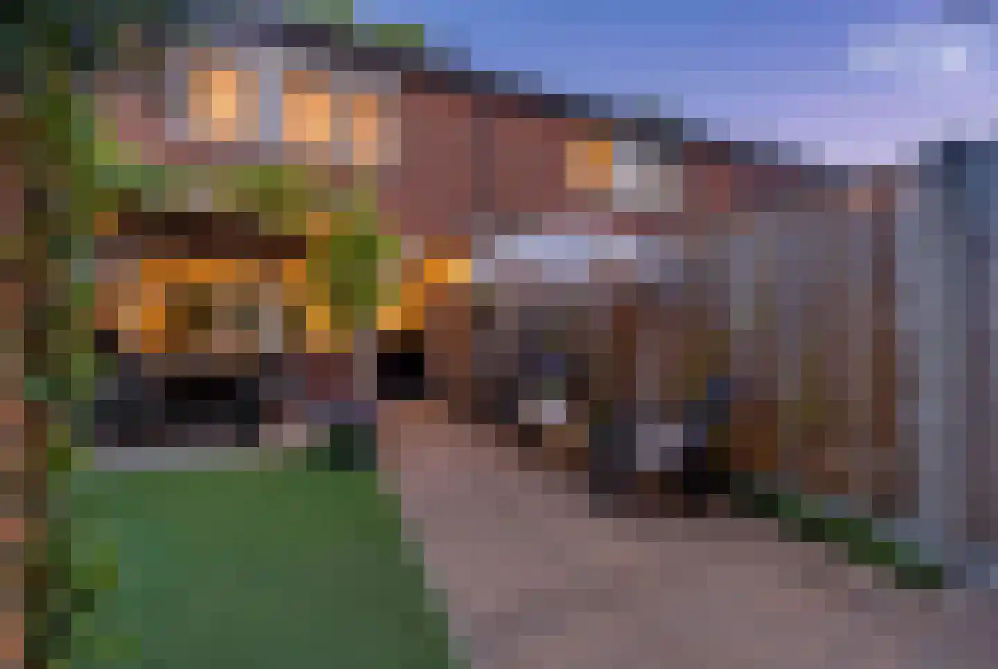 Kruizemunthof 65 Wierden thumbnail 34