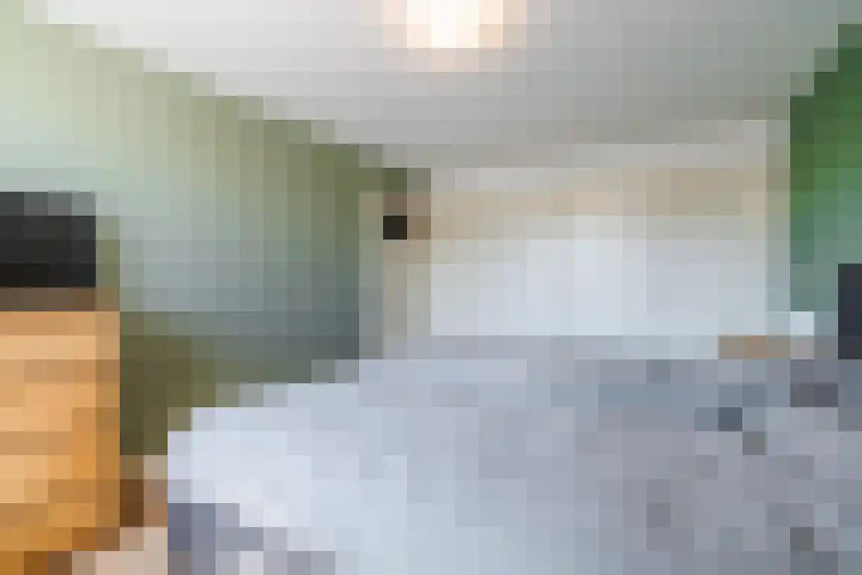 Kruizemunthof 69 Wierden thumbnail 20