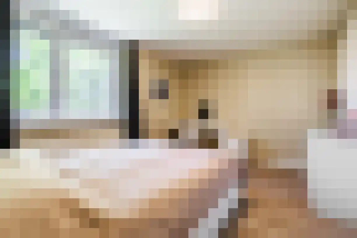 Kruizemunthof 69 Wierden thumbnail 21