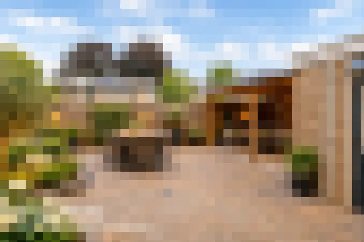 Kruizemunthof 91 Wierden thumbnail 17