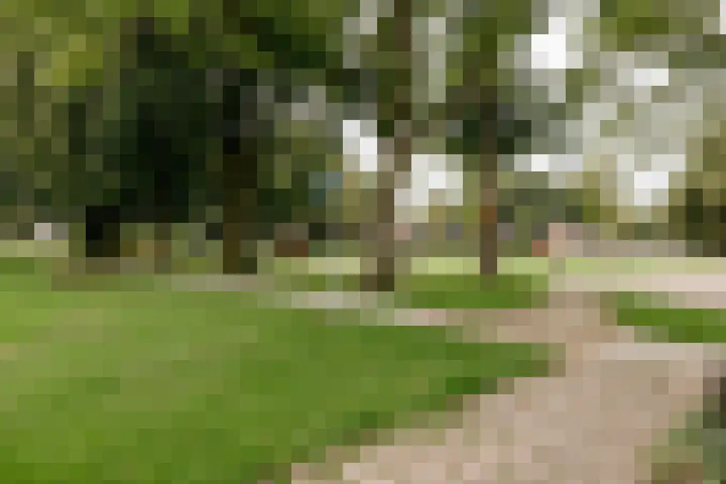 Kruizemunthof 91 Wierden thumbnail 5