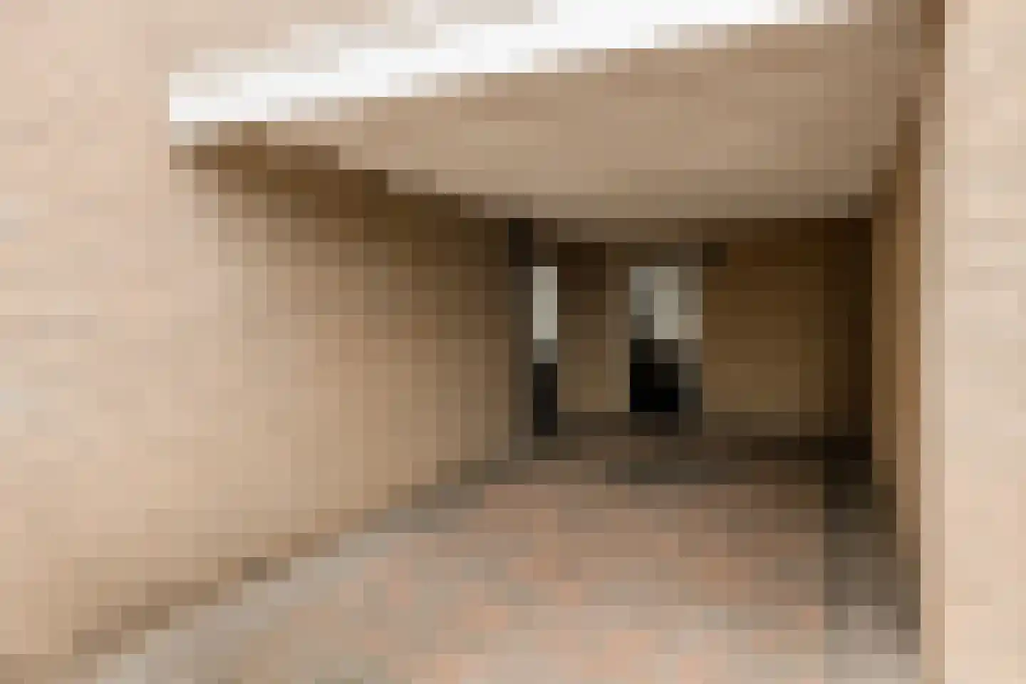 Kruizemunthof 91 Wierden thumbnail 7
