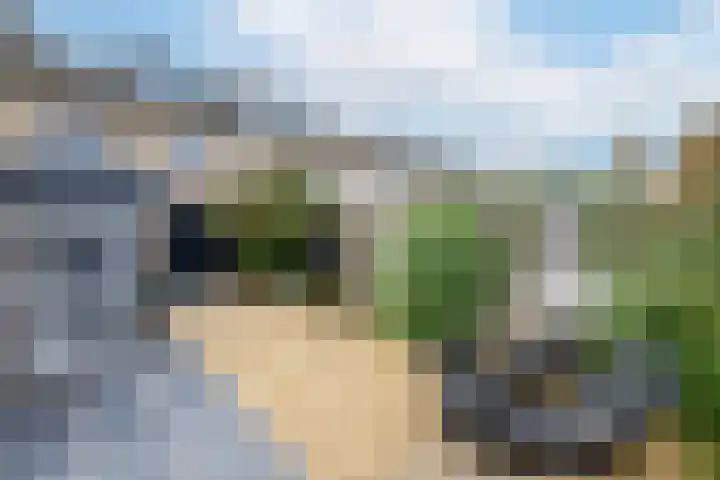 Kruizemuntlaan 17 Rijnsaterwoude thumbnail 19