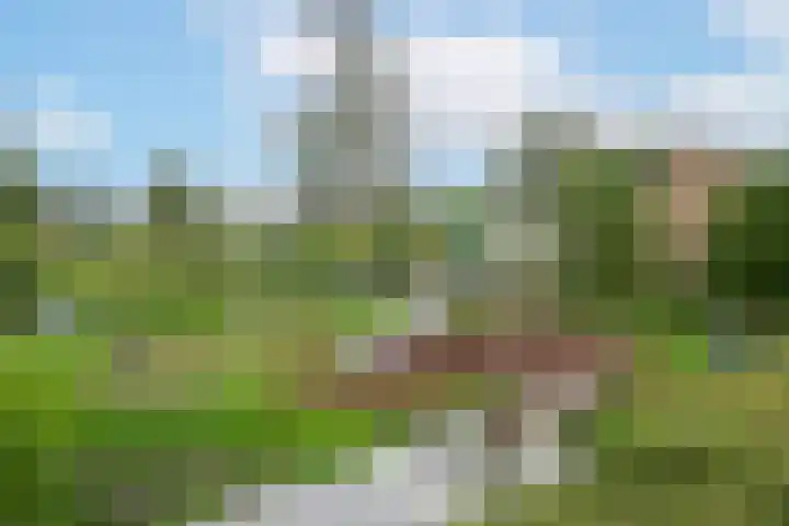 Kruizemuntlaan 17 Rijnsaterwoude thumbnail 22