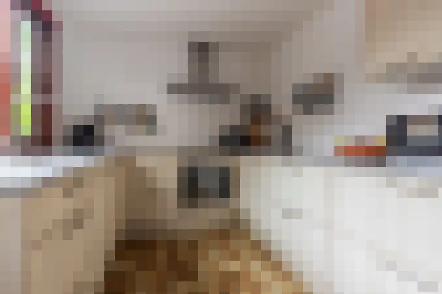 Kruizemuntlaan 9 Rijnsaterwoude thumbnail 13