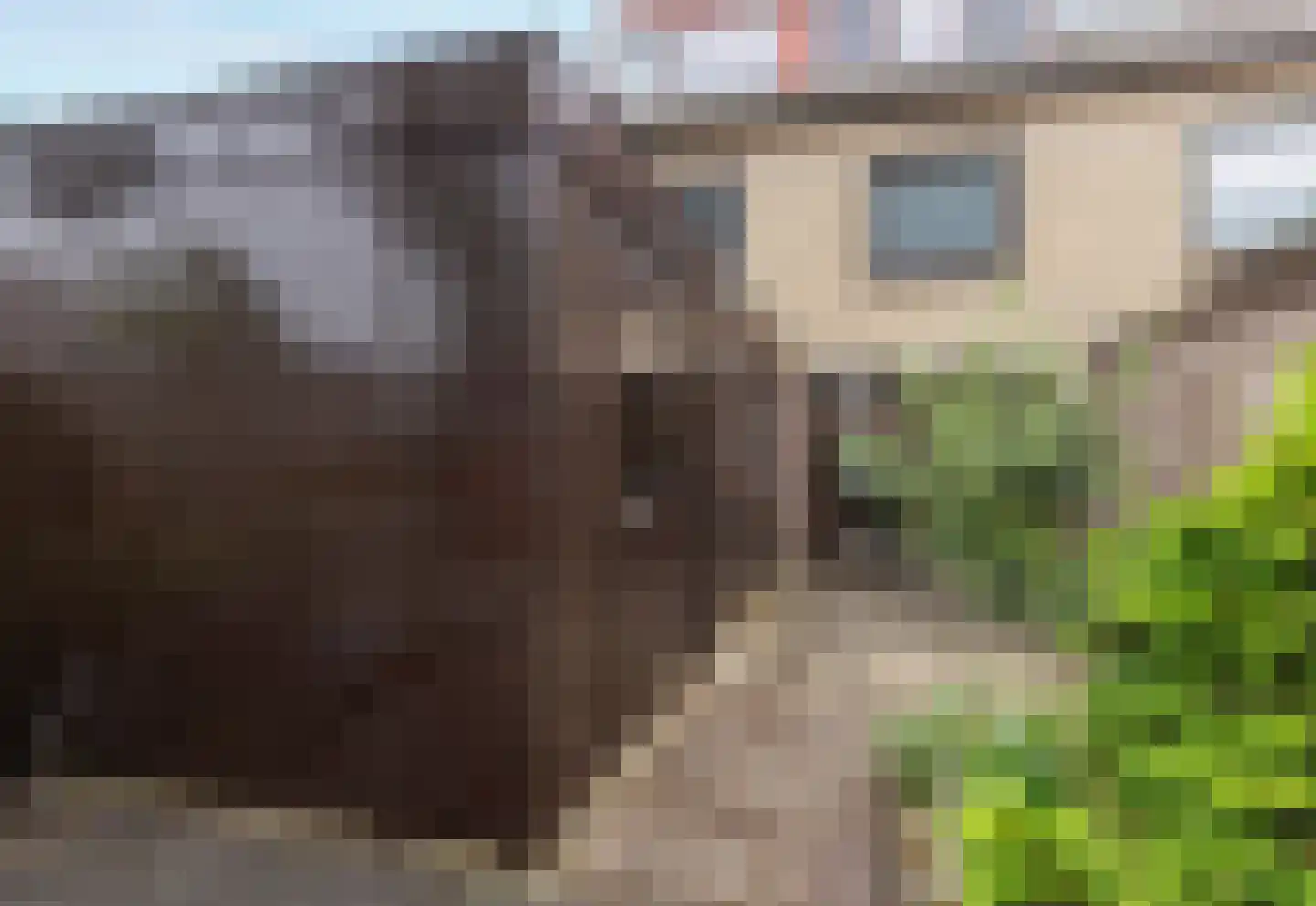 Kruizemuntlaan 9 Rijnsaterwoude thumbnail 32