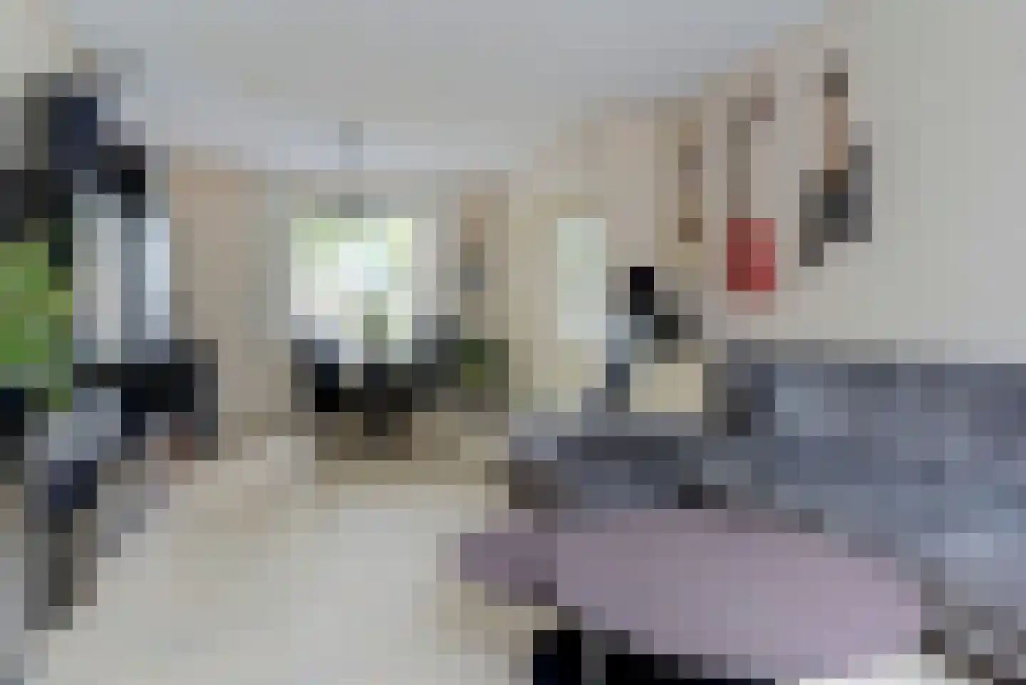 Kruizemuntstraat 1 Arnhem thumbnail 10