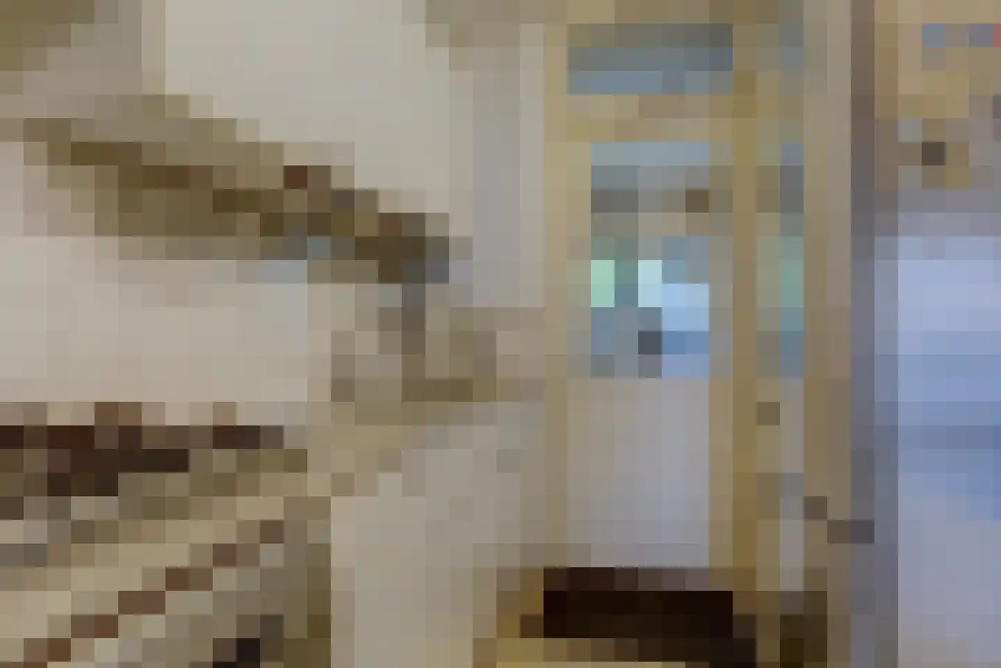 Kruizemuntstraat 1 Arnhem thumbnail 12