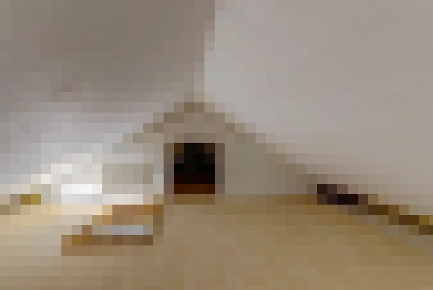 Kruizemuntstraat 1 Arnhem thumbnail 25