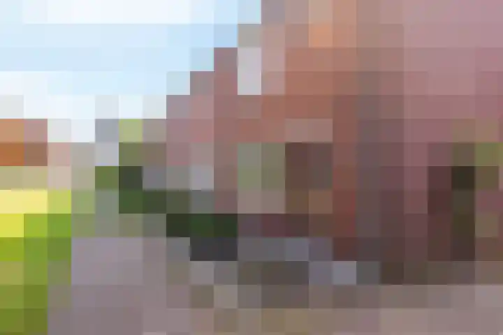 Kruizemuntstraat 1075 Apeldoorn thumbnail 23