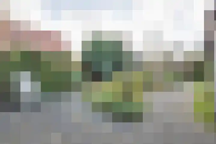 Kruizemuntstraat 12 Apeldoorn thumbnail 21
