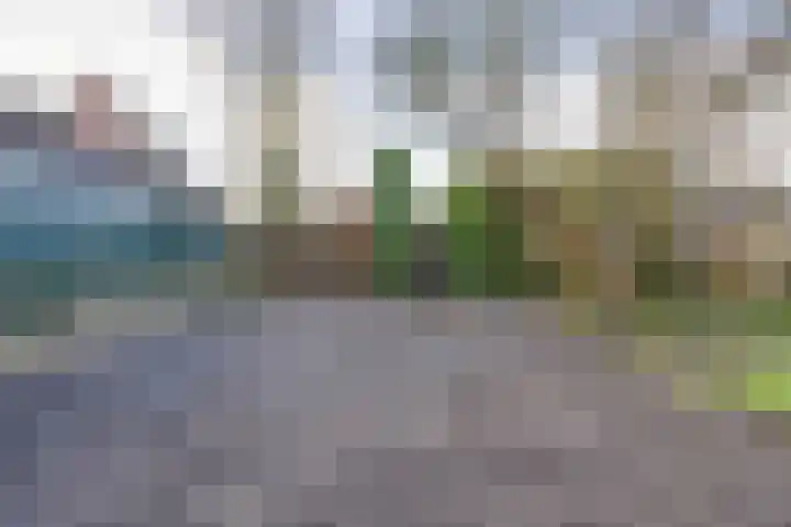 Kruizemuntstraat 12 Apeldoorn thumbnail 22