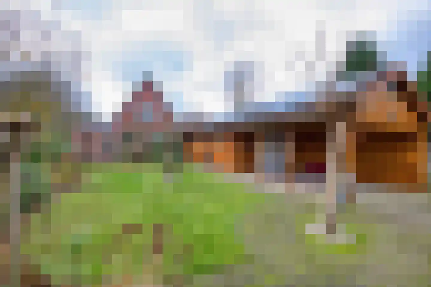 Kruizemuntstraat 14 Apeldoorn thumbnail 24