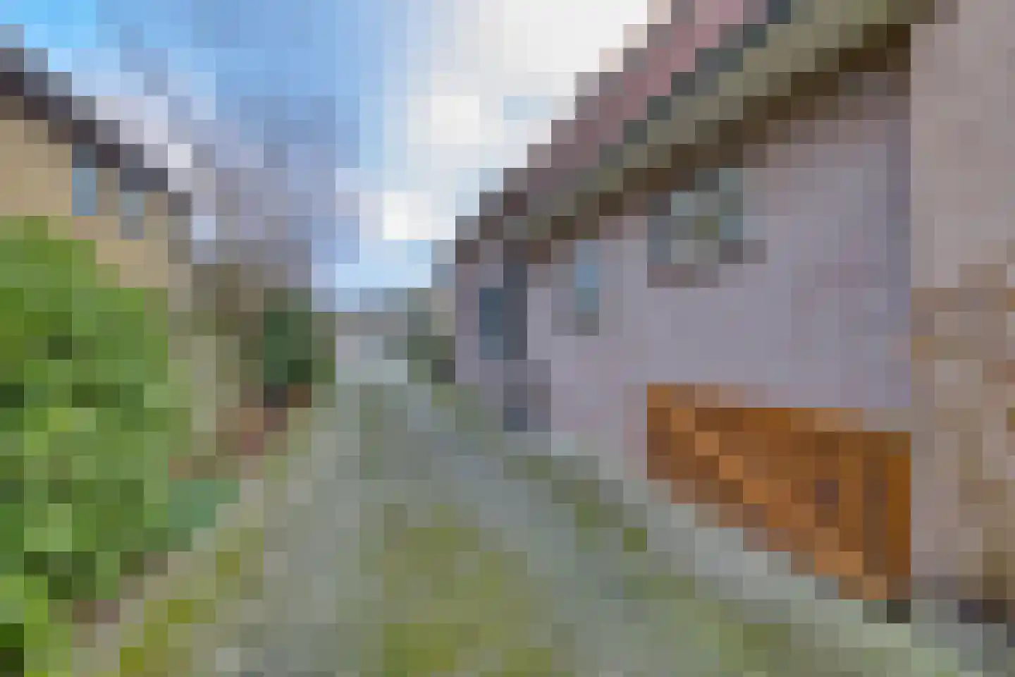 Kruizemuntstraat 14 Apeldoorn thumbnail 27