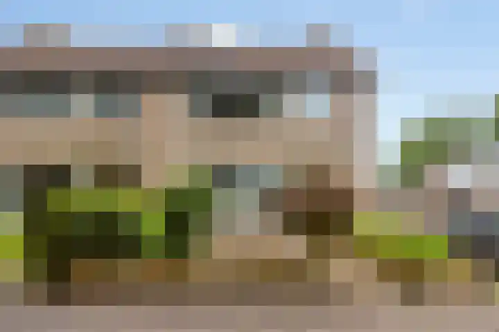 Kruizemuntstraat 145 Apeldoorn thumbnail 25