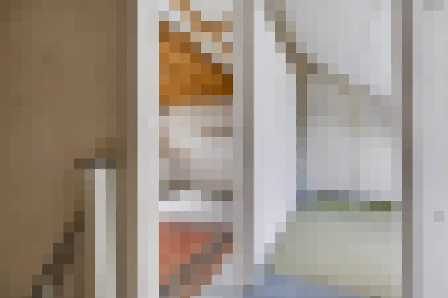 Kruizemuntstraat 148 Apeldoorn thumbnail 33