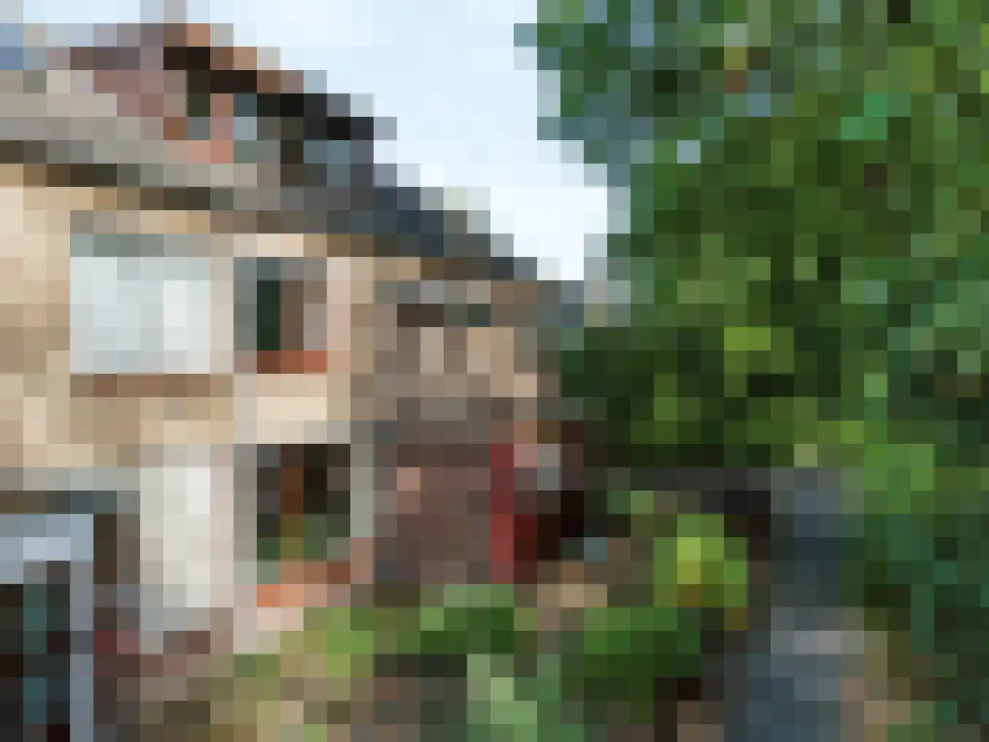 Kruizemuntstraat 148 Apeldoorn thumbnail 46