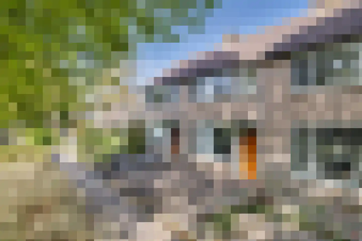 Kruizemuntstraat 149 Apeldoorn thumbnail 35