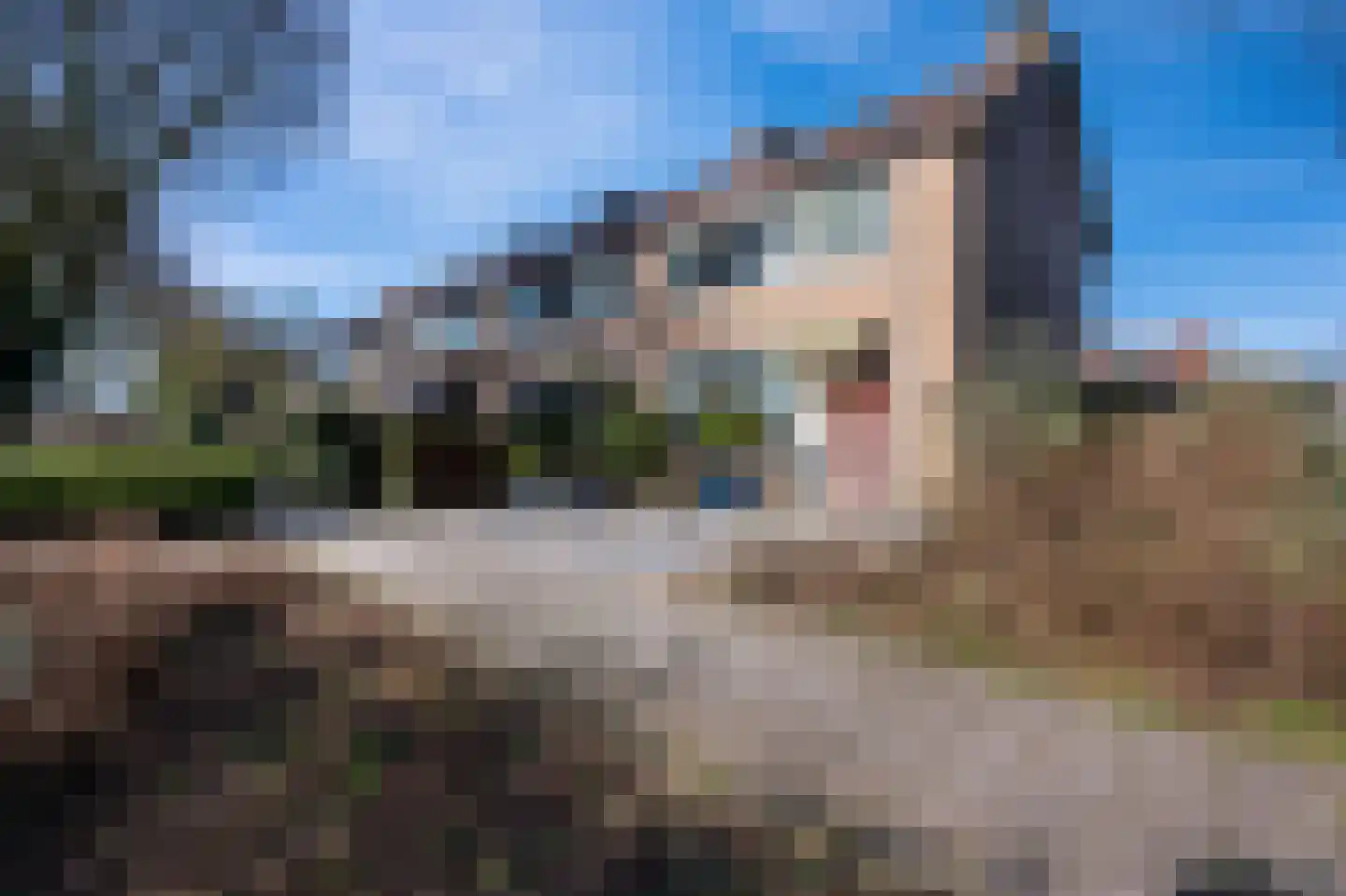 Kruizemuntstraat 153 Apeldoorn thumbnail 26