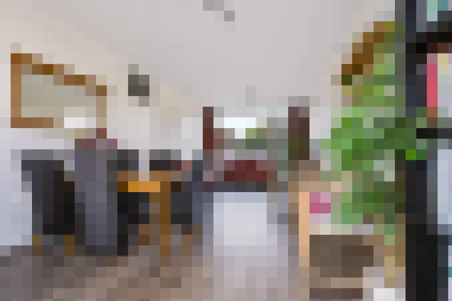 Kruizemuntstraat 175 Apeldoorn thumbnail 11