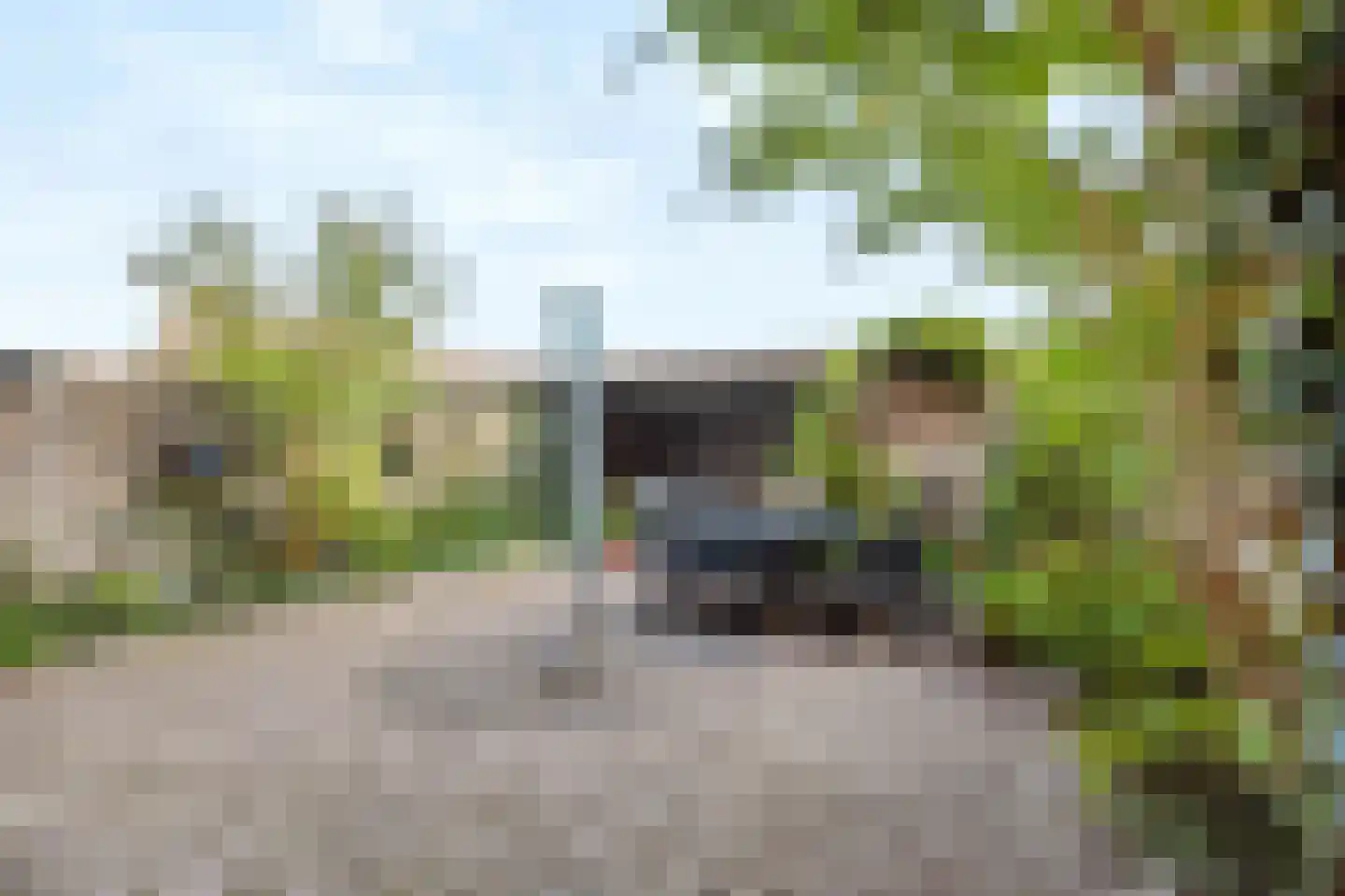 Kruizemuntstraat 175 Apeldoorn thumbnail 32