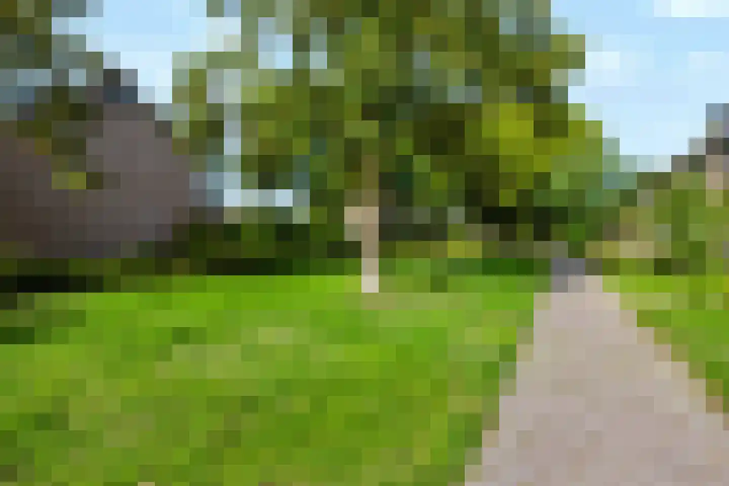 Kruizemuntstraat 177 Apeldoorn thumbnail 6