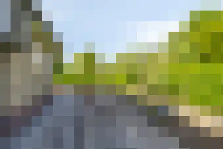Kruizemuntstraat 18 Apeldoorn thumbnail 25