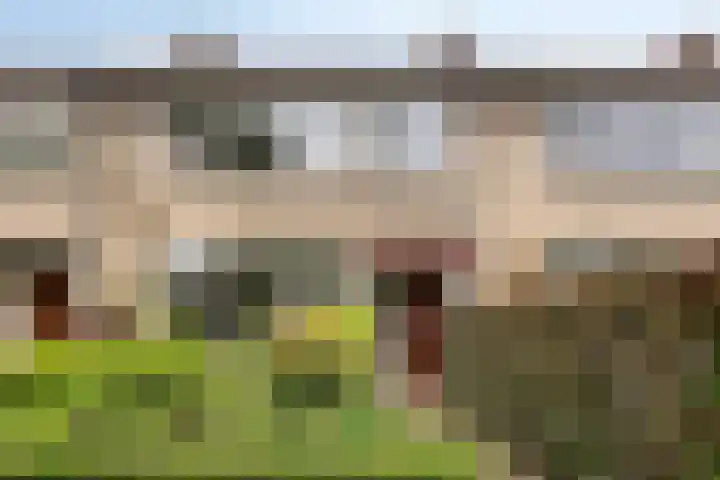 Kruizemuntstraat 241 in Apeldoorn