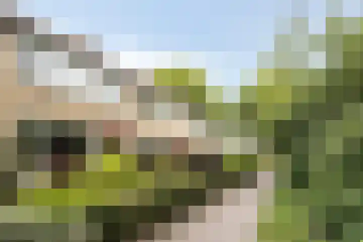 Kruizemuntstraat 241 Apeldoorn thumbnail 30