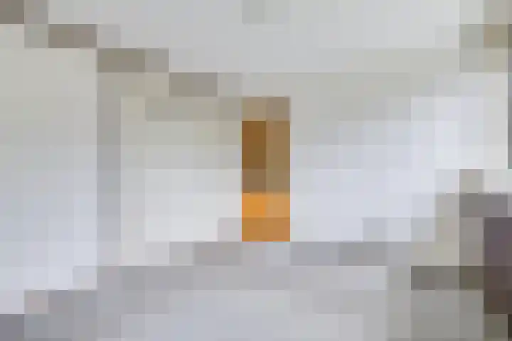 Kruizemuntstraat 29 Apeldoorn thumbnail 8