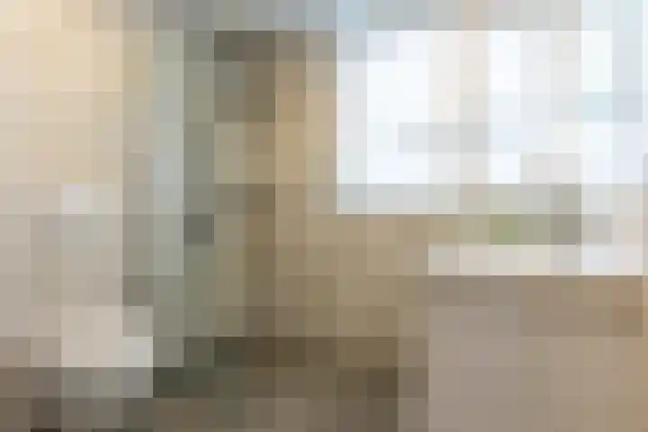 Kruizemuntstraat 367 Apeldoorn thumbnail 4