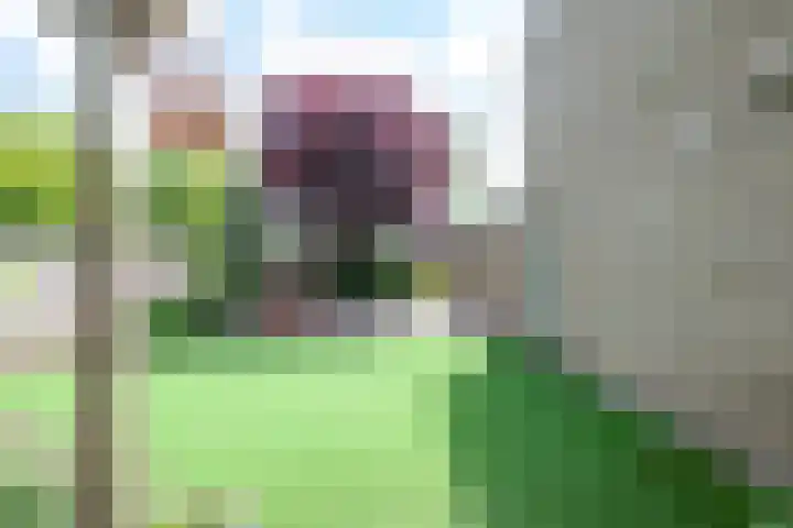 Kruizemuntstraat 429 Apeldoorn thumbnail 64