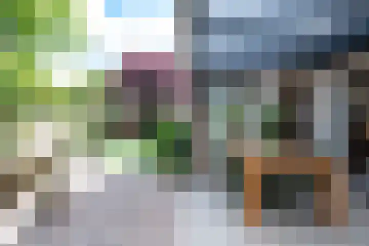 Kruizemuntstraat 429 Apeldoorn thumbnail 67
