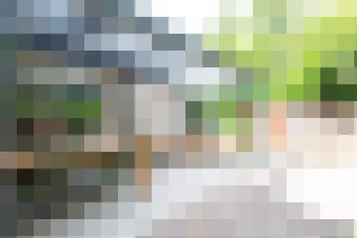 Kruizemuntstraat 429 Apeldoorn thumbnail 70