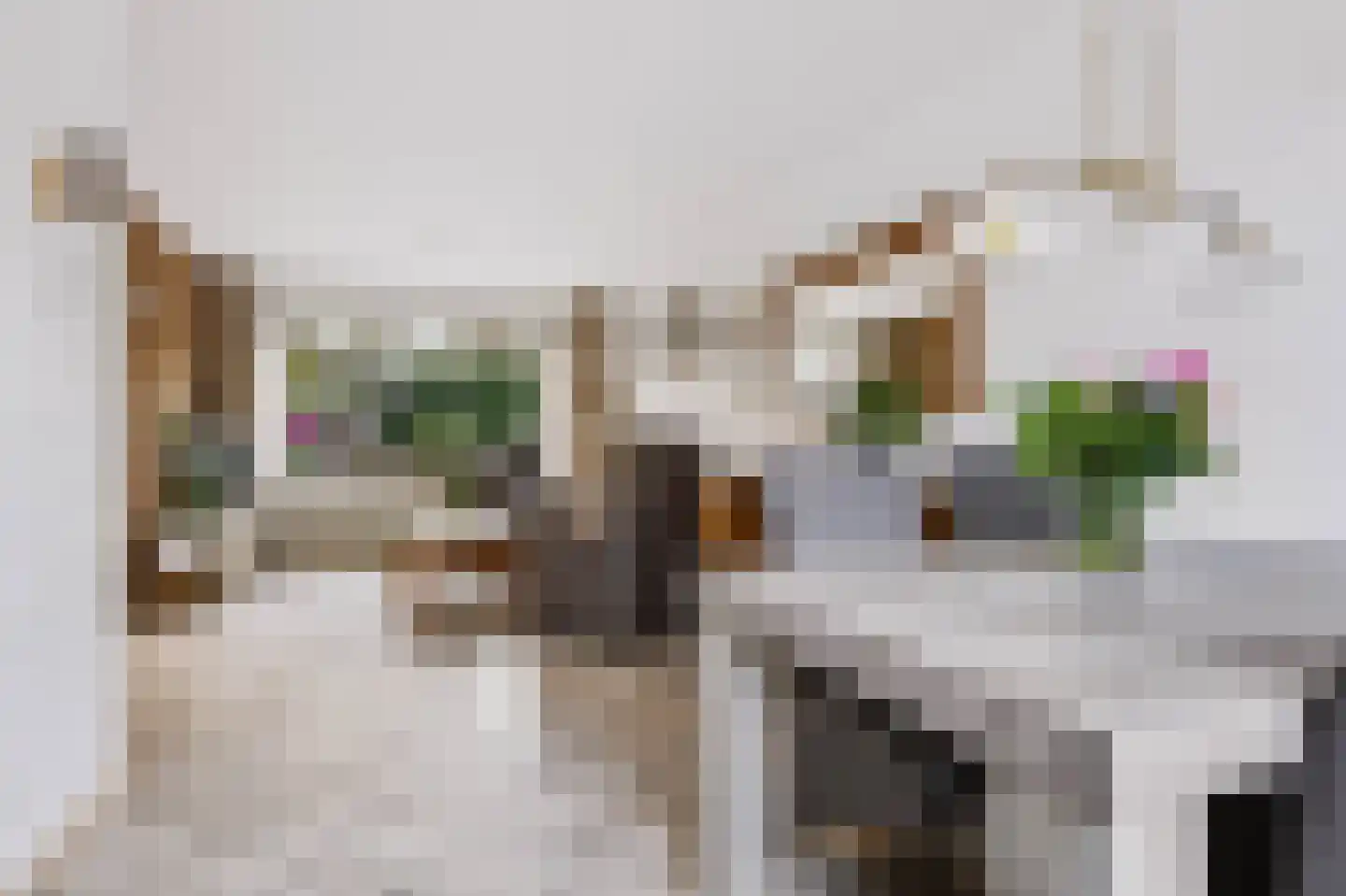 Kruizemuntstraat 567 Apeldoorn thumbnail 11