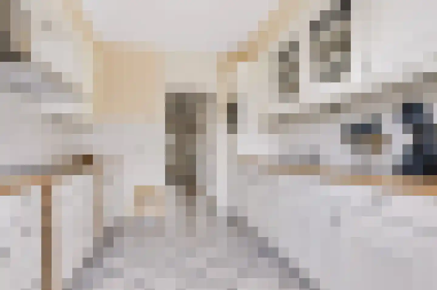 Kruizemuntstraat 567 Apeldoorn thumbnail 12