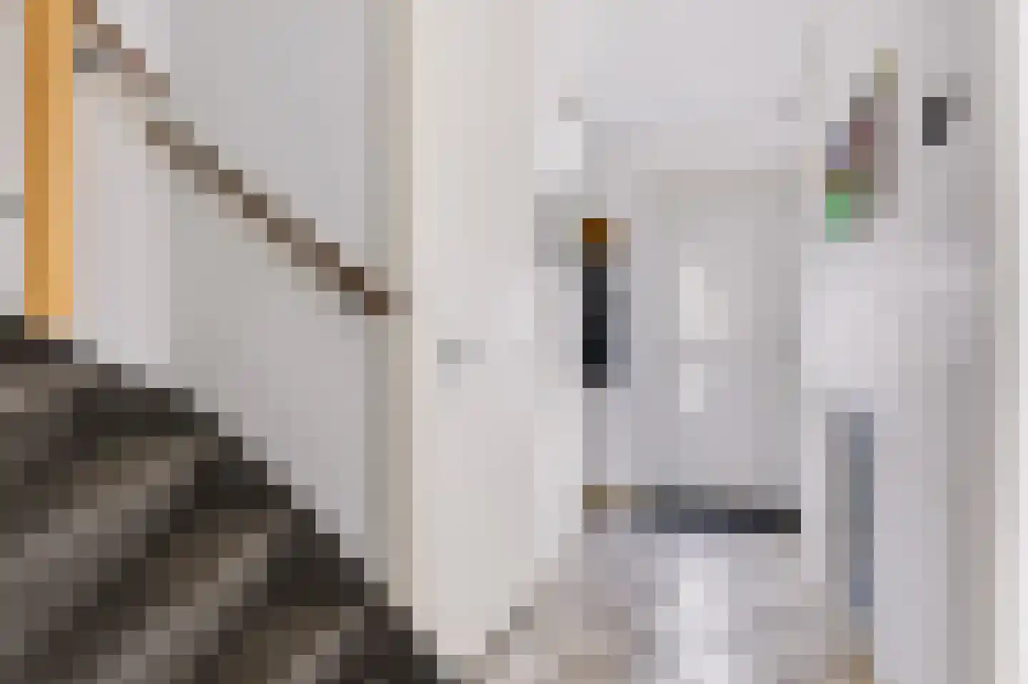 Kruizemuntstraat 567 Apeldoorn thumbnail 6