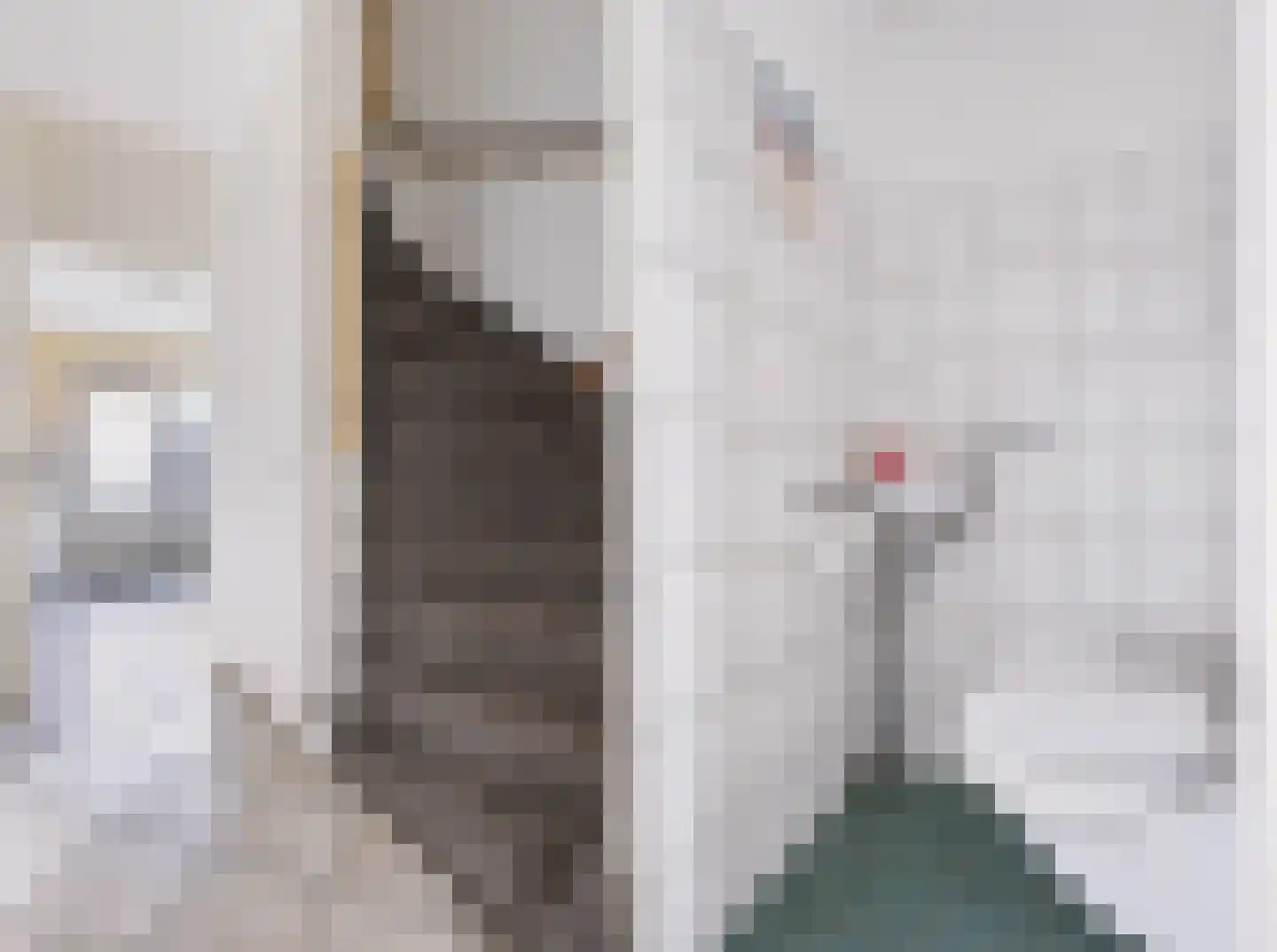 Kruizemuntstraat 567 Apeldoorn thumbnail 7