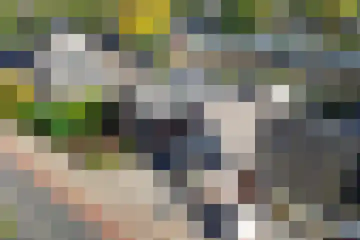 Kruizemuntstraat 58 Apeldoorn thumbnail 9