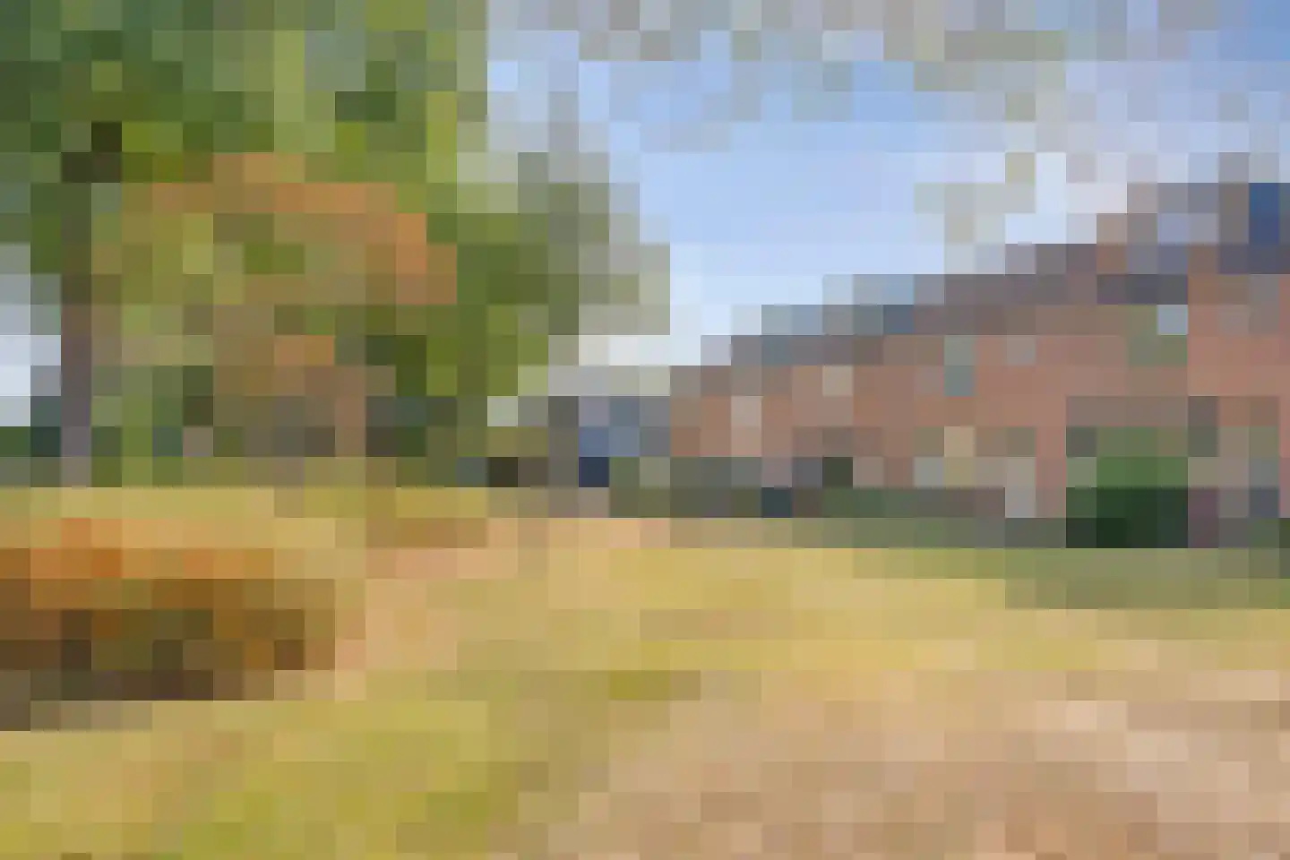 Kruizemuntstraat 647 Apeldoorn thumbnail 25