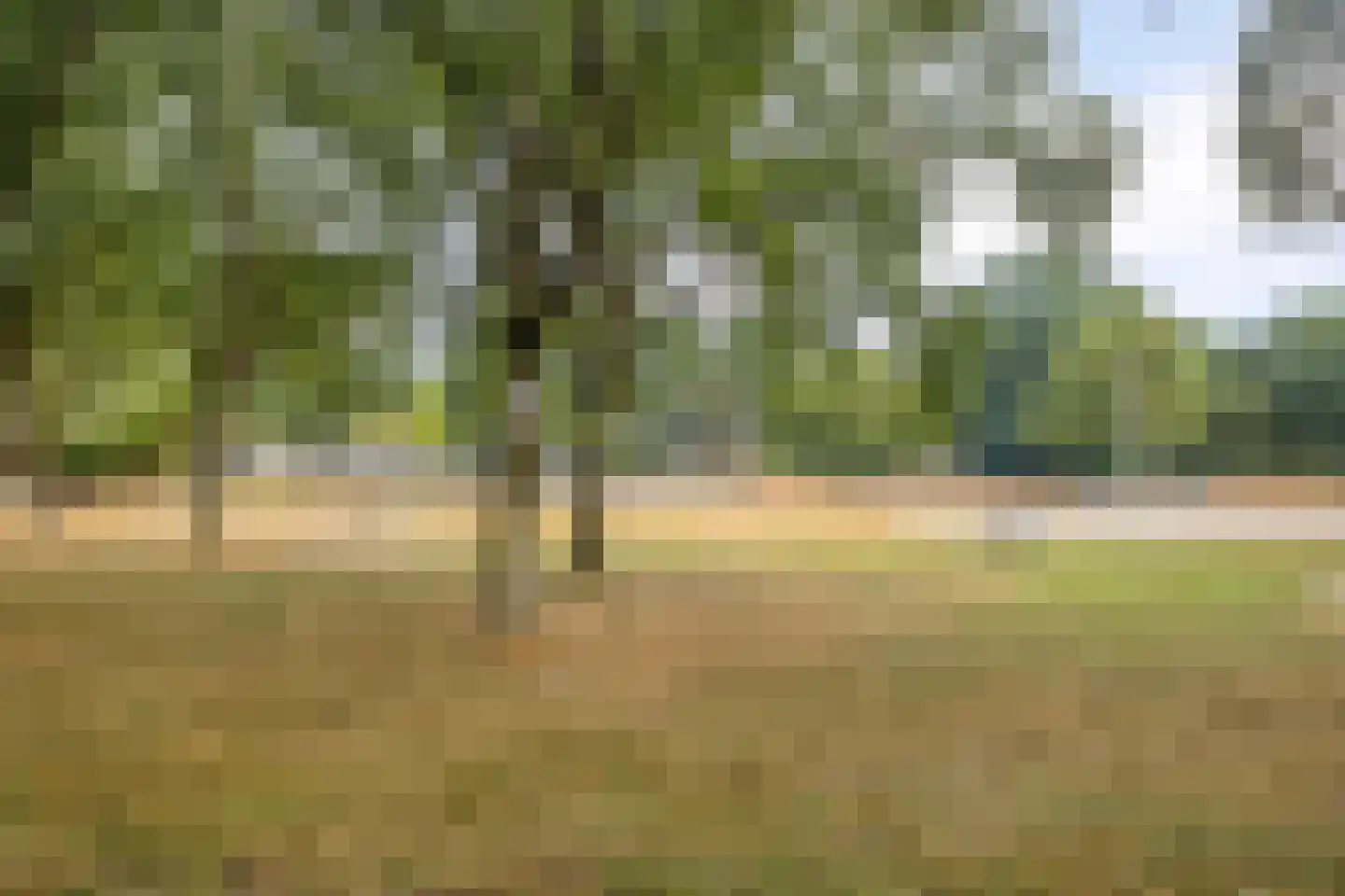 Kruizemuntstraat 647 Apeldoorn thumbnail 28